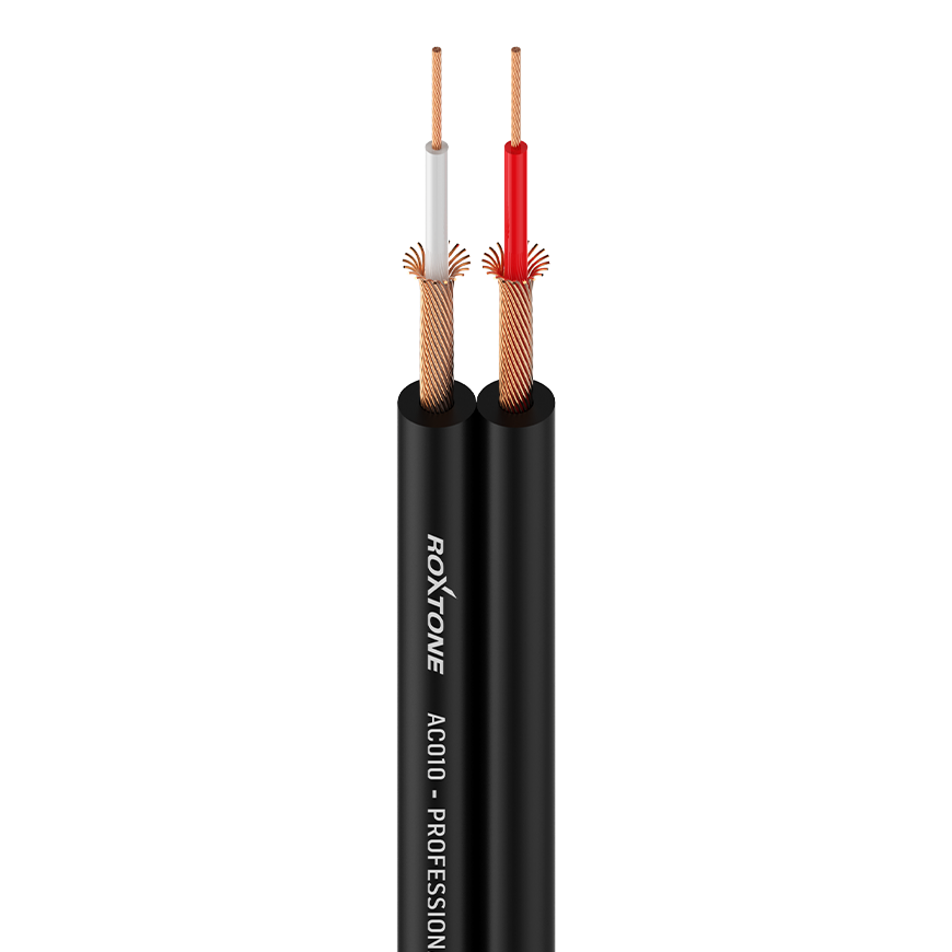 AC010